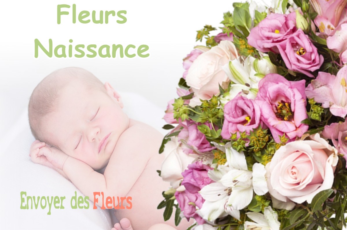 lIVRAISON FLEURS NAISSANCE à WISEPPE